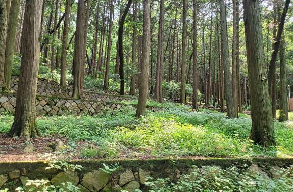 부산어린이대공원 치유의 숲